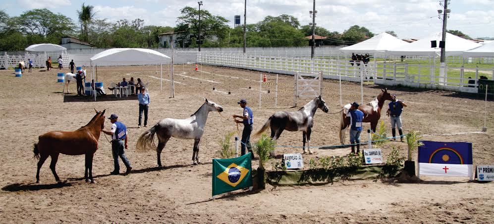 festa do cavalo